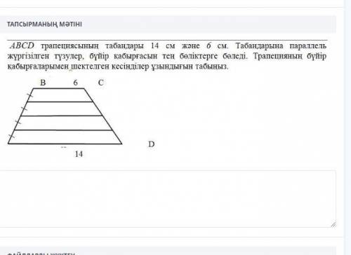 Тжб Геометрия комек тесындершы