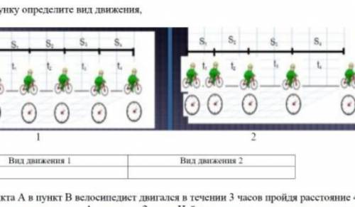 По рисунку определите вид движения​