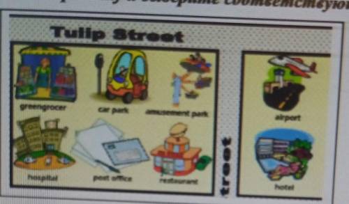 Tulip Street A) There is a car park between the greengrocer's and the amusement park. There is arest