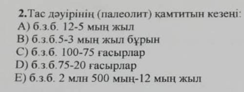 Тас дауиринин (палеолит) камитын кезеңі. 5 класс​