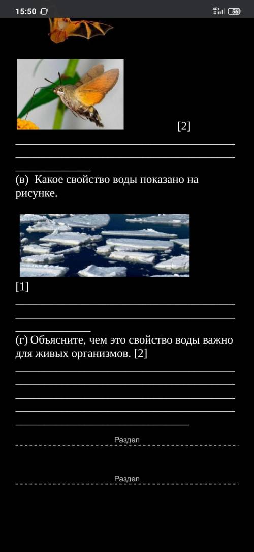 На рисунке изображены два представителя животного царства-летучая мышь и бабочка. Хотя их внешнее ст