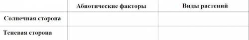 Учащихся разделили на 2 группы. 1 группа исследовала солнечную сторону пришкольного участка, 2 групп