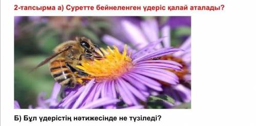 Бұл үдеріс қалай аталады?​