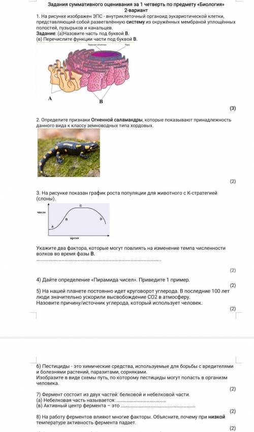 ЛЮДИ УЖЕ 3 РАЗ ОТПРАВЛЯЮ СОЧ ПО БИОЛОГИИ