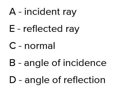 - С 58° o D A, B, C and D are four points on a circle, centre 0. AD is a diameter of the circle. Ang