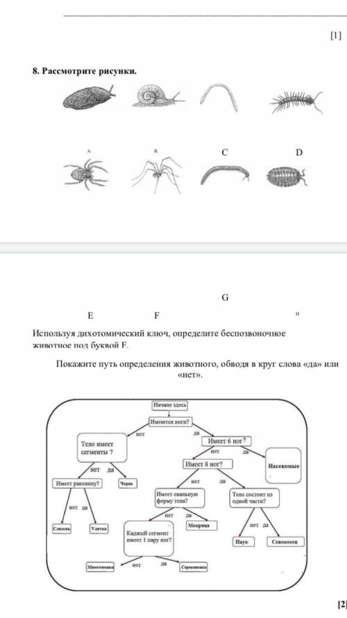 Задание на скрине чень это из СОЧа