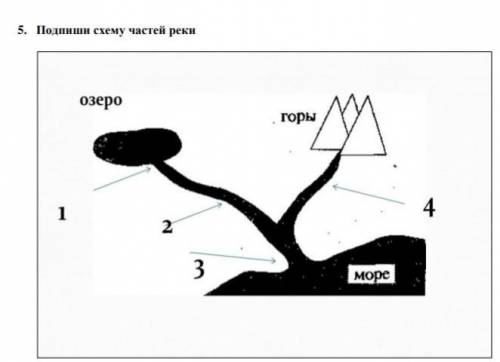 Подпиши схему частей реки ​