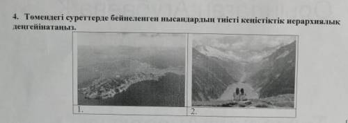 Томендеги сурреттерде бейнеленген нысандырдын тиисти кенистик иерархиялык денгенатыныз​