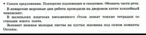 Спиши придложения подчеркни подлежащее и сказуемое обозначь части речи