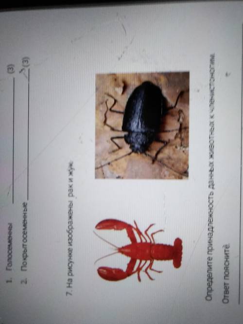 На рисунке изображены рак и жук. Определите принадлежность данных животных к членистоногим. ответ по