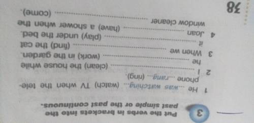 Put the verbs in brackets into the past simple or the past continuous.