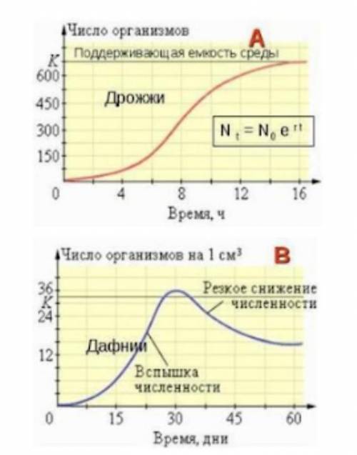 5. Проанализируйте кривые роста популяций дрожжей и дафний. Выберите утверждения, характеризующие кр