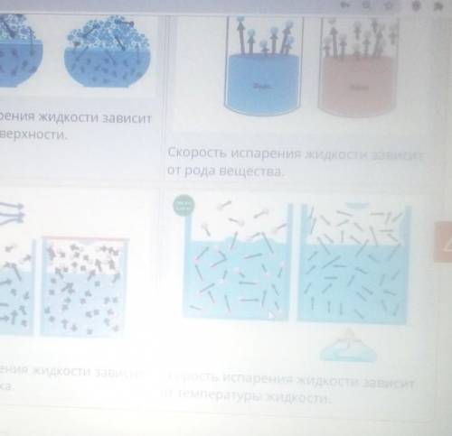 правила расположи факторы факторы летящая со скорость испарения жидкости скорость испарения жидкости