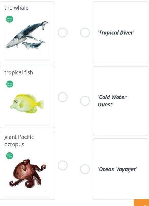 Listen to an online guide in a city aquarium and match the animal ti their sections көмектесіңдерші​