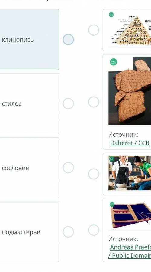 Соотнеси картинки со словами.​