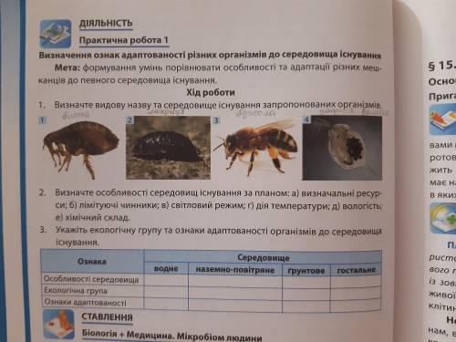 Сделайте практическую Буду очень благодарна