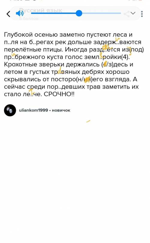 Глубокой осенью заметно пустеют леса и п..ля на б..регах рек дольше задерж..ваются перелётные птицы.