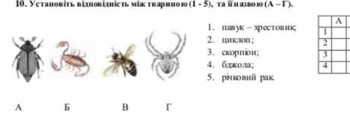 10. Установіть вішовіність між твариною (1.5), та й назвою (А -Г). ABBIT11. Павук хрестовик2. цик:3.