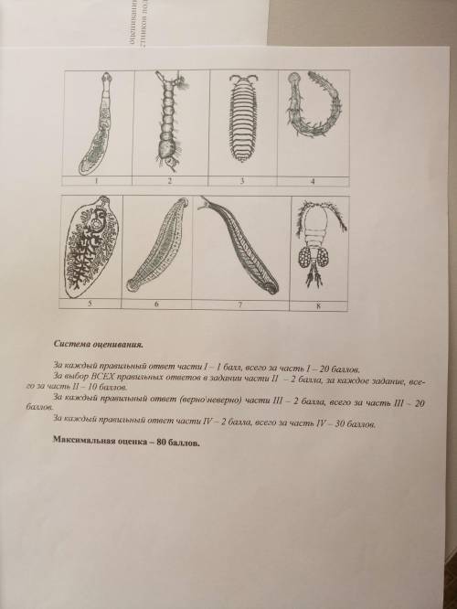 Можете ещё получить ответив на такой же вопрос по ссылке Все задания этой страницы