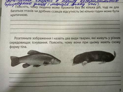 2.Розгляньте зображення і назвіть два види тварин які живуть у різних середовищах існування поясніть