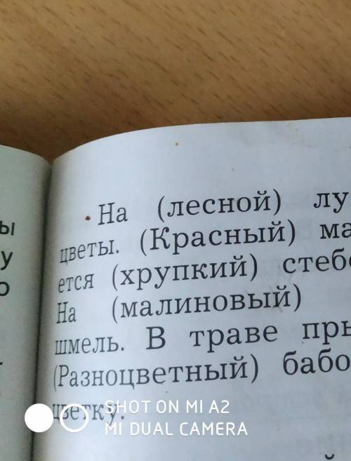 спиши текс ставя прилагательные которые являются определениями в нужную форму определение подчеркни