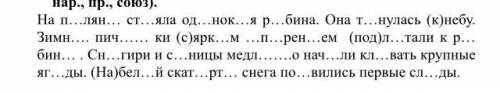 с упражнением вставье пропущеные быквы +