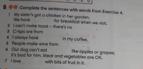 5 Complete the sentences with words from Exercise 4. 1 My sister's got a chicken in her garden.We ha