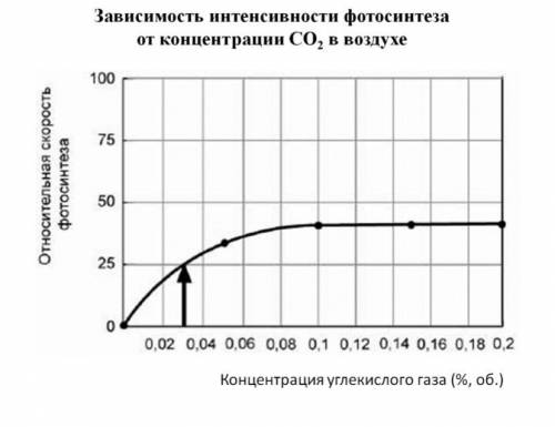 1. Чему будет равна относительная скорость фотосинтеза, если концентрация углекислого газа в воздухе