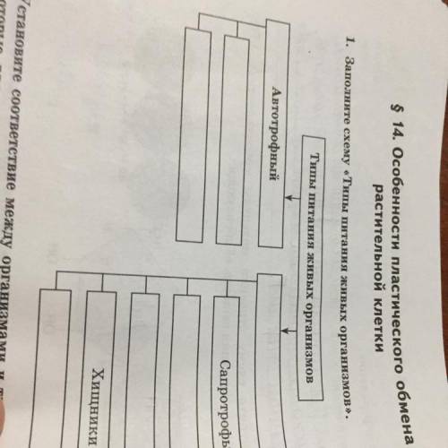 Заполните схему «Типы питания живых»