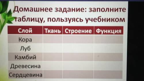 Биология 6 класс, тема: стебли. Заполните таблицу.