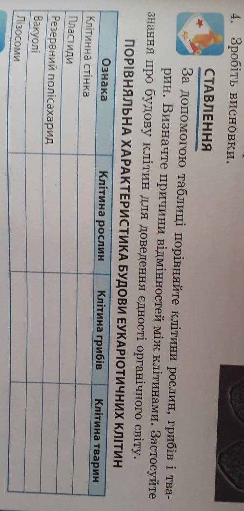 4. Зробіть висновки. СТАВЛЕННЯЗа до таблиці порівняйте клітини рослин, грибів і тва-рин. Визначте пр