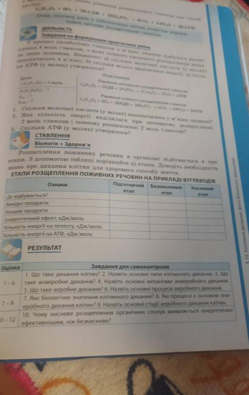 Етапи розщеплення поживних речовин на прикладів вуглеводів​