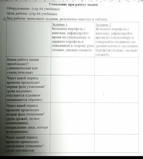 Лабораторная работа. Мыщцы человеческого тела ​