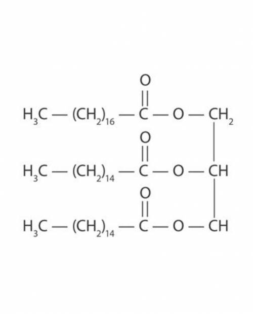 Структура жирных кислот На рисунке показаны насыщенные или ненасыщенные жирные кислоты? Жиры состоят