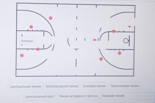 Подпишите все линии разметки, которые Вы знаете.