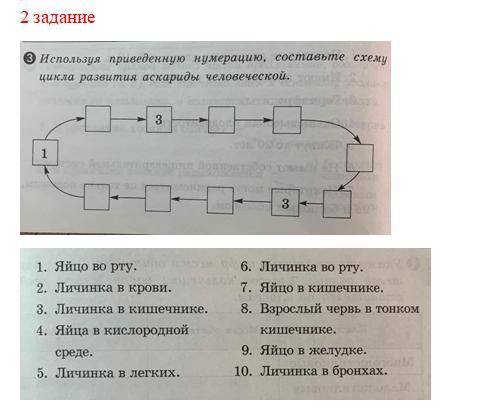 Хелп ми см файл (если что могут повторятся цифры).