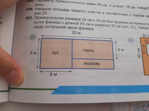 Найдите площадь каждого участка в соответствии с планом сада на рис 20