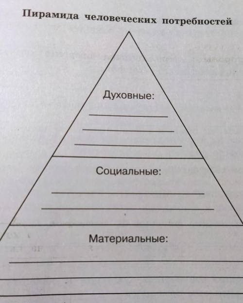 7. Рассмотрите рисунок, заполните пирамиду потребностей собственными примерами