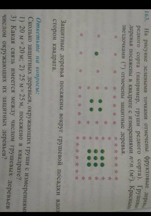 163. На рисунке зелеными точками отмечены фруктовые деревья редкого сорта (например, груши редкого с