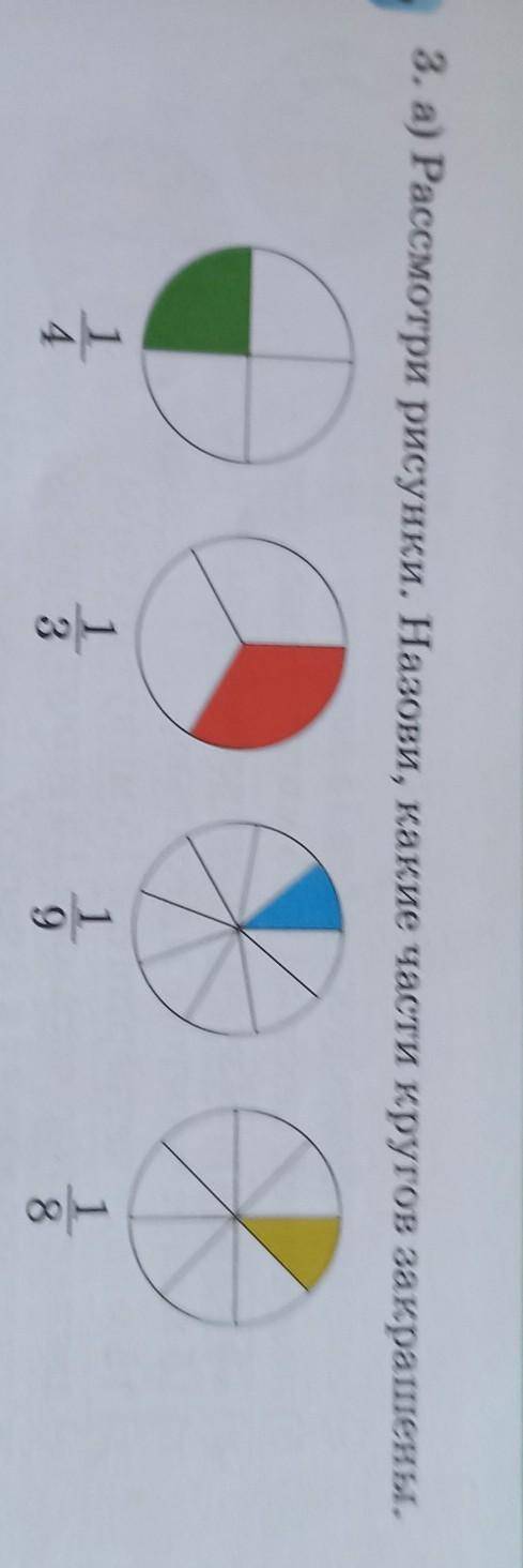 Рассмотри рисунки. Назови, какие части кругов закрашены.​
