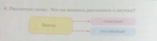 Рассмотри схему. что ты можешь по рассказать о звуках​