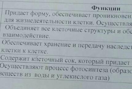 Начерти таблицу в тетрадь Заполните первую колонку растительная клетка​