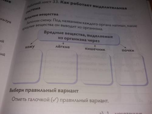 Заполни схнму. Под названием каждого органанапиши какие вредные вещества он выводит из организма.