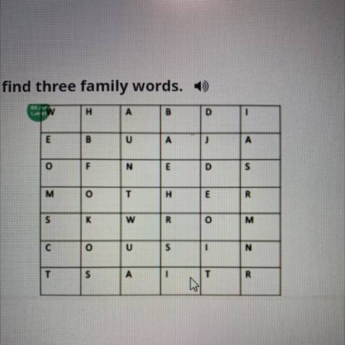 Family tree Look at the wordsearch below and find three family words. ) H H A B D E B U A O N E in M