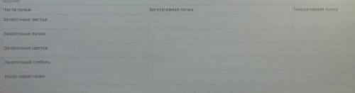 БИОЛОГИЯ!. Заполните таблицу сравнения строения вегетативной и генеративной почки растения.Используй