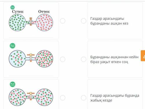 Определите, как происходит процесс распространения в течение определенного периода времени.Сопоставь