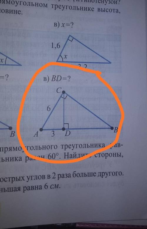 очень темасвойства прямоугольного треугольника7 класс.​