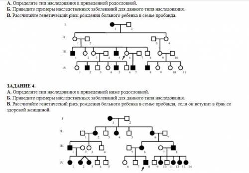 БИОЛОГИЯ, решить две задачи 20 б.