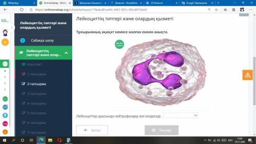 Лейкоциттің типтері және олардың қызметі Тұжырымның ақиқат немесе жалған екенін анықта. Лейкоциттер