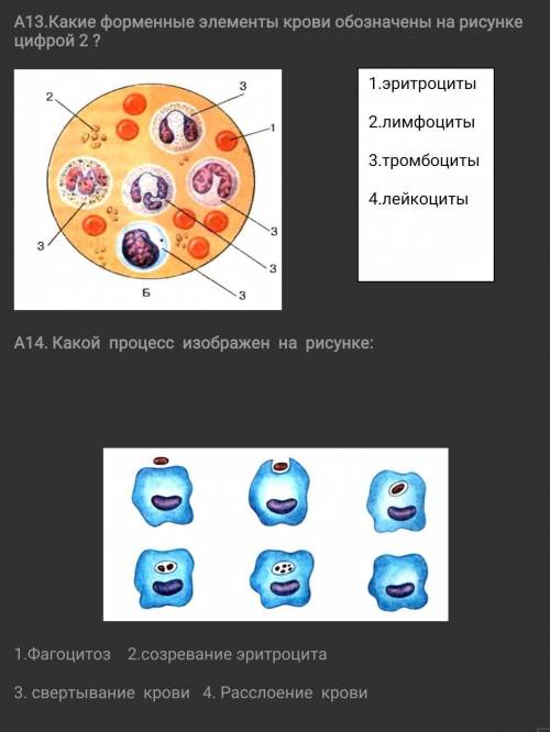 Хелп ми Биология 8 класс ​